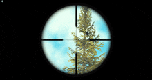 a sniper scope shows a tree and a blue sky