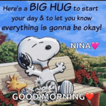 a picture of snoopy and woodstock sitting on a bench with a message that says good morning nina