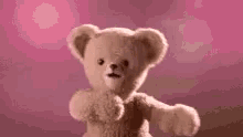 a teddy bear is standing in front of a pink background and making a funny face .