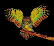 a colorful owl is sitting on a branch with its wings outstretched on a black background .