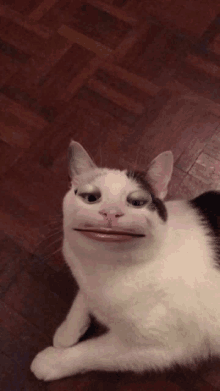 a black and white cat laying on a wooden floor with its mouth open