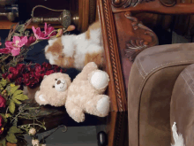 a cat and a teddy bear sit on a couch