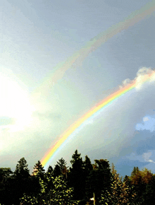 a rainbow in a cloudy sky over a forest