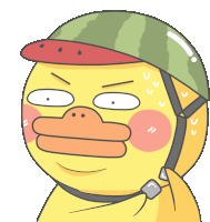 a cartoon duck wearing a watermelon hat and a helmet