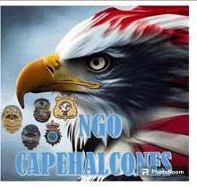 a picture of a bald eagle with the words ngo capefalcons