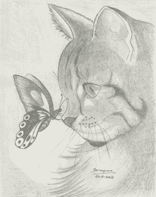 a black and white drawing of a cat with a butterfly on its nose by serraguera