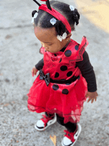 a little girl dressed in a ladybug costume is walking on the street