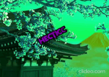 a green background with flowers and a sign that says hectkcc