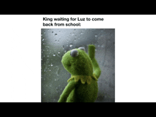 a kermit the frog is looking out a window with a caption that says king waiting for luz to come back from school