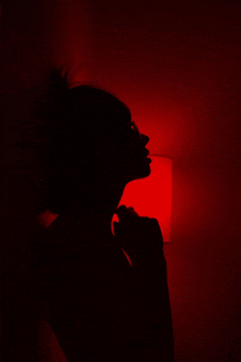 a silhouette of a woman in a dark room with a red light in the background