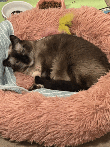 a cat laying on a pink fluffy blanket