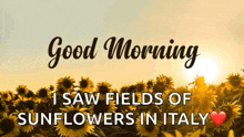 a good morning message with sunflowers in the background