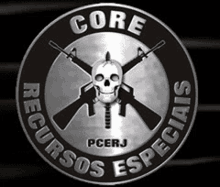 a black and white logo for core recursos especiais with a skull and crossed guns