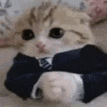 a cat wearing a suit and tie is laying down on a bed .