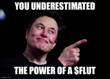 elon musk is pointing at the power of a $ flut