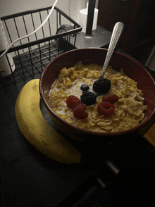 a bowl of cereal with raspberries and blackberries on top