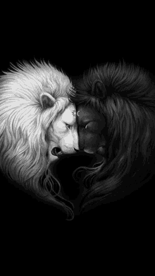 a black and white painting of two lions looking at each other .