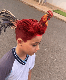 a young boy with red hair and a rooster on his head