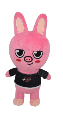 a pink stuffed animal with a black shirt that says ' nct ' on it