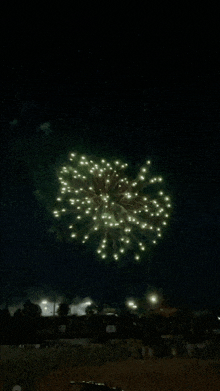 a fireworks display in the night sky with a fence in the background