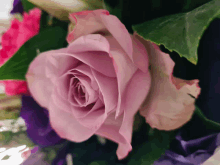 a close up of a pink rose in a bouquet of flowers