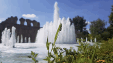 a fountain in a park with a plant in front of it