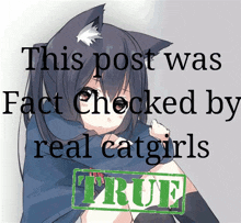 a picture of a girl with a cat ear and the words this post was fact checked by real catgirls