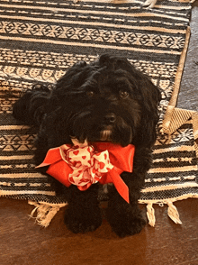 a small black dog is wearing a red bow around its neck