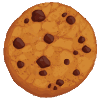 a round cookie with chocolate chips on it