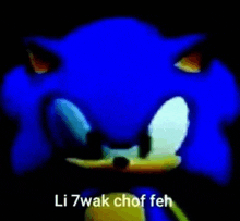 a close up of a sonic the hedgehog with the words `` li 7wak chof feh '' written on it .