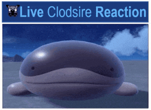 a picture of a whale with the words " live clodsire reaction " below it