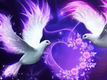 two white doves are flying in front of a heart made of flowers .