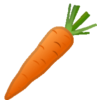 a carrot with a green stem and leaves on a white background