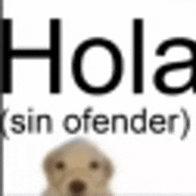 a dog is sitting in front of a sign that says hola .