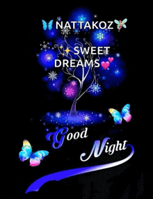 a good night message with a tree and butterflies on a black background