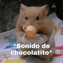 a hamster is holding a small cup in its mouth and says sonido de chocolatito *