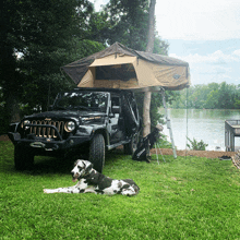 a dog is laying in front of a jeep with a tent on top of it