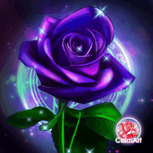 a purple rose with green leaves is surrounded by a circle and the words calmart on the bottom