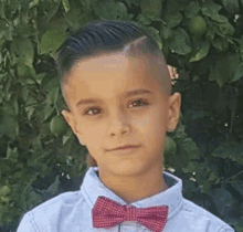 a young boy wearing a blue shirt and a red bow tie is standing in front of a bush .