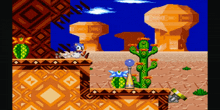 a sonic the hedgehog video game with a cactus