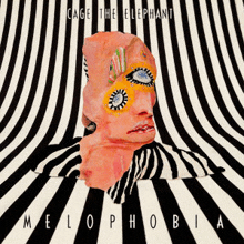 a cage the elephant album cover with a zebra print