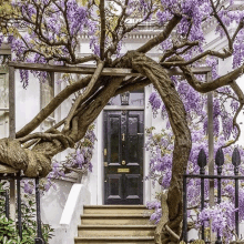 a house with purple flowers and a black door with the number 102 on it