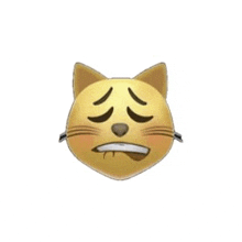 a cat emoji with its eyes closed and its tongue out .