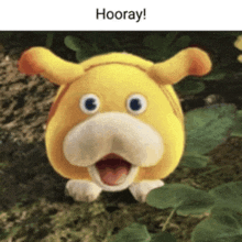 a picture of a stuffed animal that says hooray on it