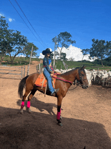 a woman wearing a cowboy hat is riding a horse