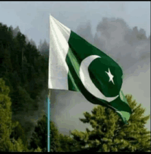 a green and white flag with a crescent moon and star flying in the wind .