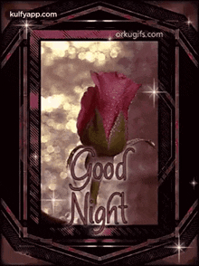 a good night greeting card with a pink rose