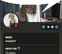 a screenshot of wun wunspirit 's profile