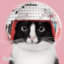 a black and white cat is wearing a disco ball helmet