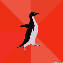 a black and white penguin standing on a red background